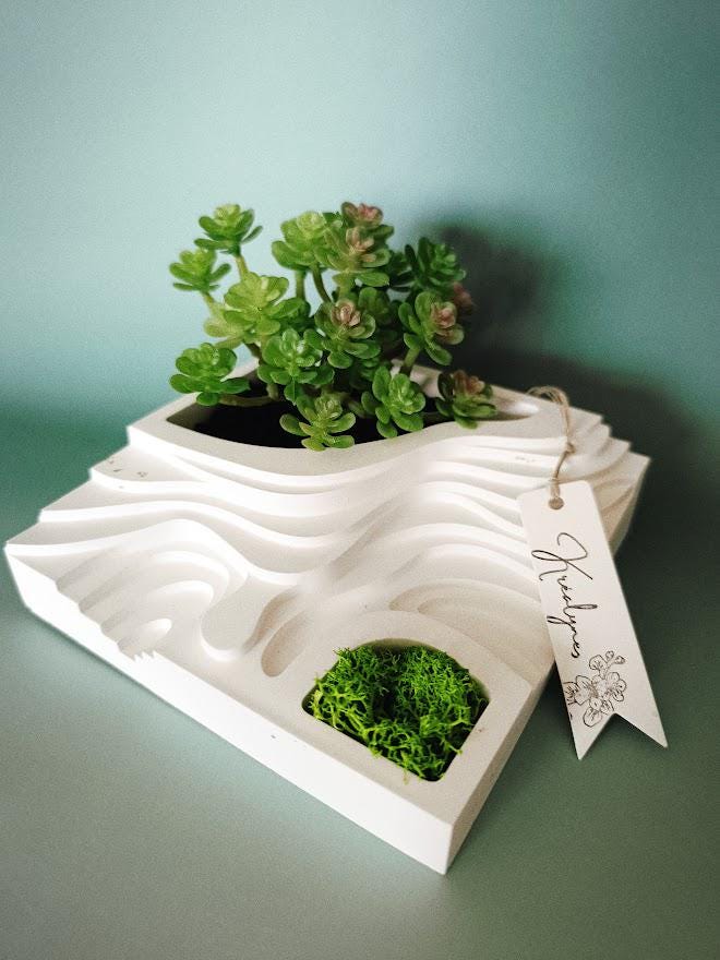 Jardin zen blanc et or